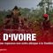 ATTAQUE A TOUGBO: L’armée ivoirienne repousse une attaque à la frontière Burkinabé