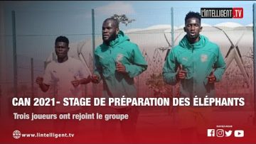 CAN 2021: Stage de préparation des Éléphants / Trois joueurs ont rejoint le groupe