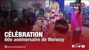 Concert des 60 ans de Meiway à Paris : lartiste et des fans témoignent