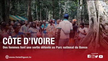 Côte d’Ivoire : Des femmes font une sortie détente au Parc national du Banco