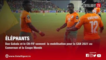 ELEPHANTS/ DAO GABALA et le CN-FIF sonnent la mobilisation pour la CAN 2021 au Cameroun
