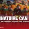 Éliminatoires CAN 2021 au Cameroun : déjà qualifiés, les Éléphants toujours sous pression