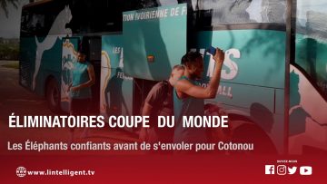 Éliminatoires Coupe du monde : Les Éléphants confiants, avant de senvoler pour Cotonou