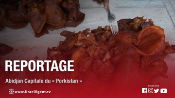 REPORTAGE / Abidjan la perle des lagunes, devenue la capitale du Porkistan