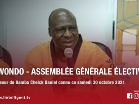 Taekwondo – Assemblée générale élective / Le successeur de Bamba Cheick Daniel connu ce 30/10/2021