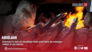 REPORTAGE / Abidjan : comment le bois de chauffage reste prisé dans les ménages malgré le gaz butane