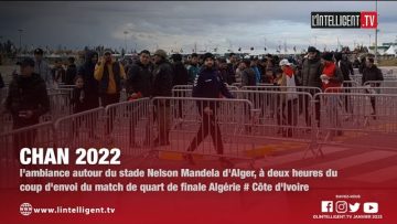 CHAN 2022: lambiance autour du stade Nelson Mandela dAlger pour Algérie # Côte dIvoire
