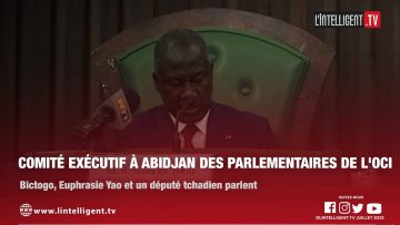 Comité exécutif à Abidjan des parlementaires de lOCI: Bictogo et Euphrasie Yao parlent