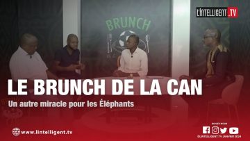LE BRUNCH DE LA CAN 15: Un autre miracle pour les éléphants