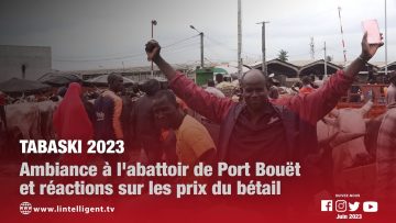 Tabaski 2023 : ambiance à labattoir de Port Bouët et réactions sur les prix du bétail