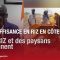 Autosuffisance en riz en Côte d’Ivoire : l’ADERIZ et des paysans témoignent