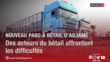 Nouveau parc à bétail d’Adjamé : des acteurs du bétail affrontent les difficultés