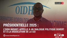 Présidentielle 2025  L’OIDH inquiet, appelle à la dissolution de la CEI